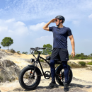 Windgoo F5 Fatbike